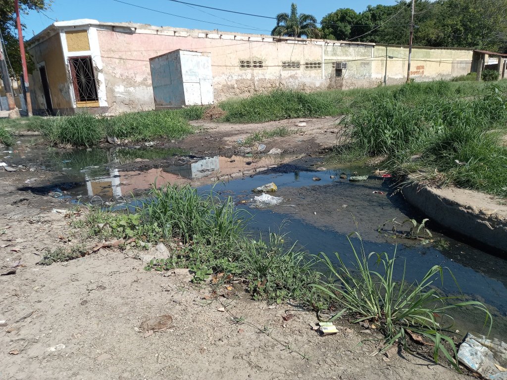 Desde hace 07 años están inundados por aguas&nbsp;negras
