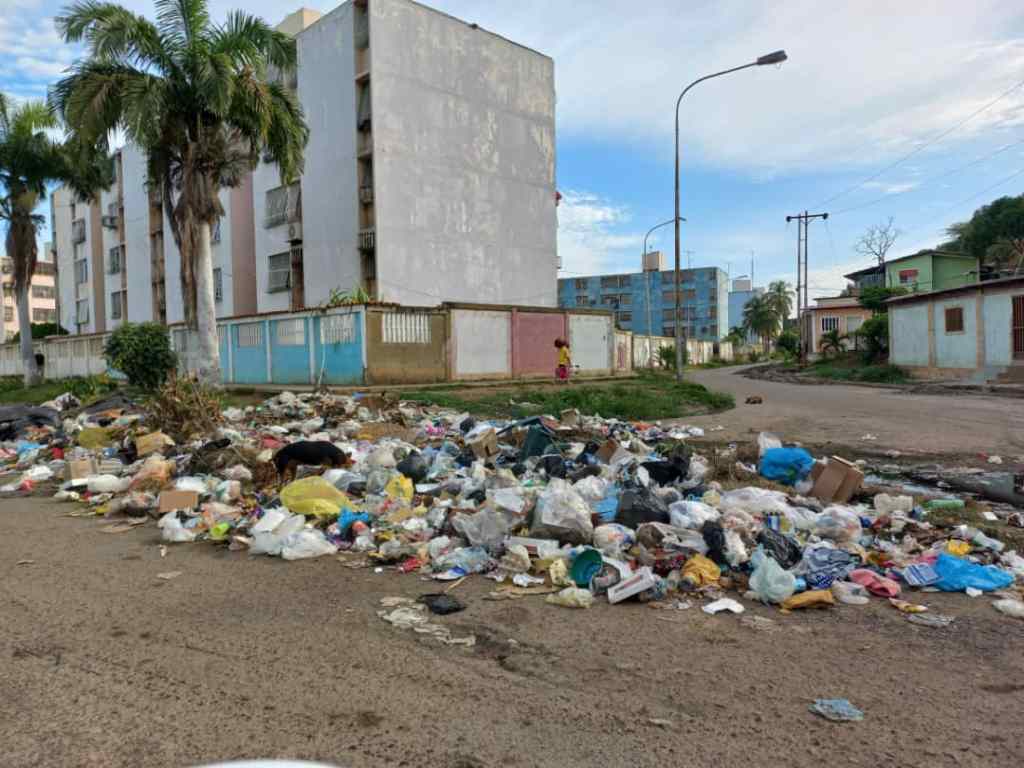 Denuncian acumulación de basura en Oropeza&nbsp;Castillo