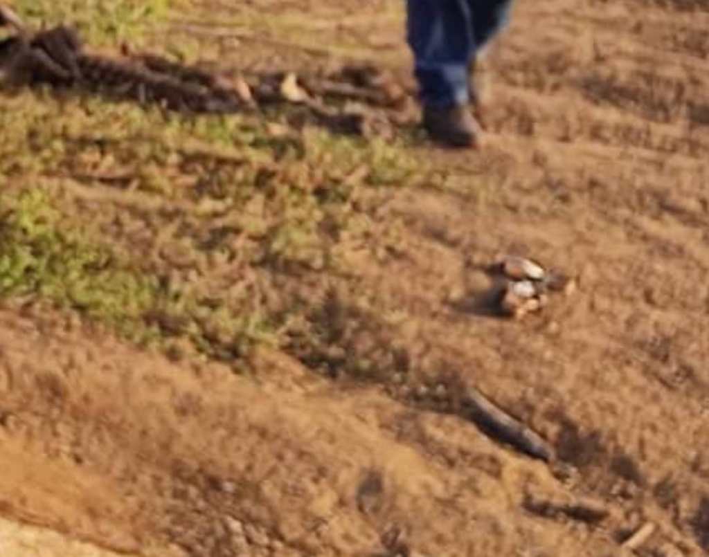 Apareció desmembrado pescador desaparecido en&nbsp;Peñalver