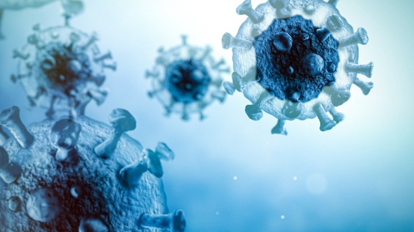 Confirman primer caso de  Ómicron en Florida, esperan resultados de un posible segundo&nbsp;caso