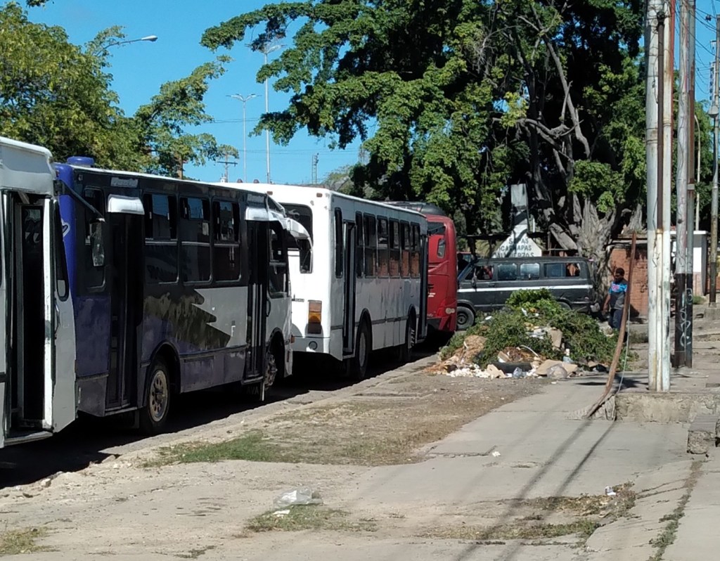 Piden reubicar parada de autobuses de la avenida Municipal de Puerto La&nbsp;Cruz