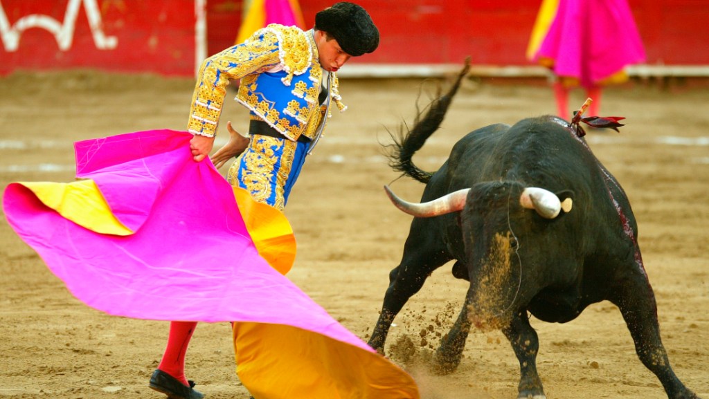 Ministerio Público propondrá Ley que prohíba la matanza de&nbsp;toros