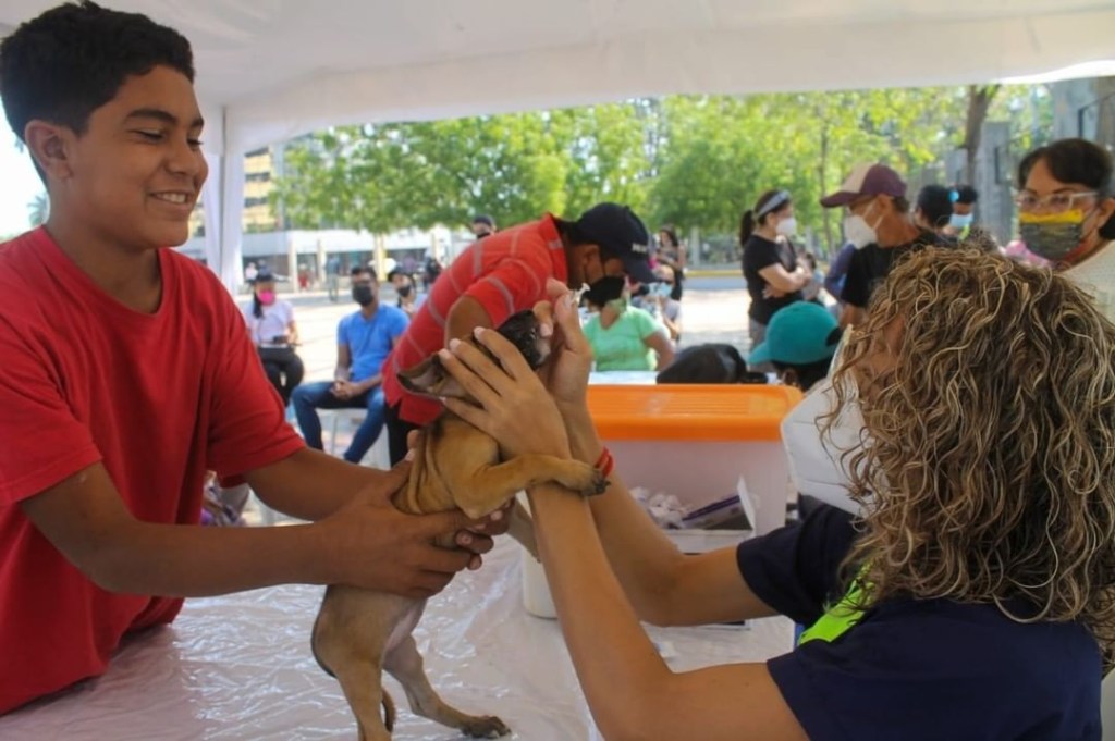 Brindaron atención integral a&nbsp;mascotas
