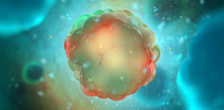 Desarrollan bacterias controladas por el sonido que combaten el&nbsp;cáncer