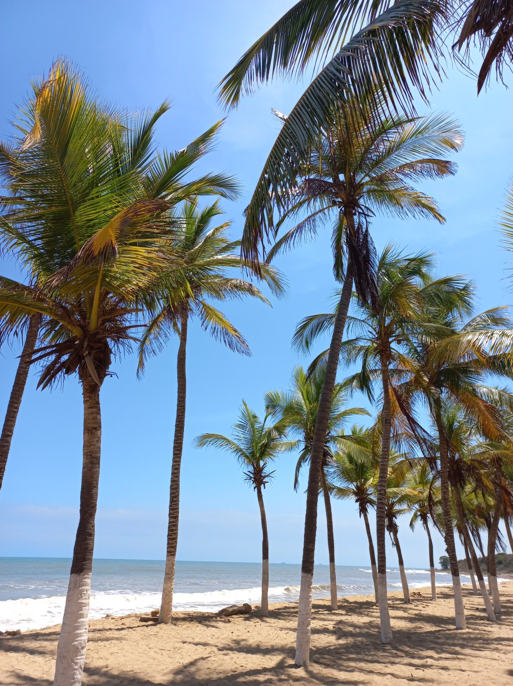 480 playas estarán aptas durante Semana&nbsp;Santa