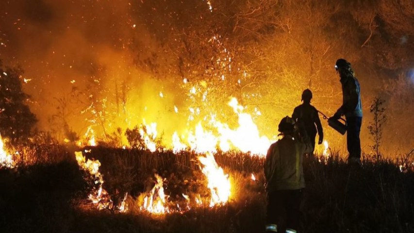 Miles de hectáreas arrasadas por los incendios forestales en&nbsp;España
