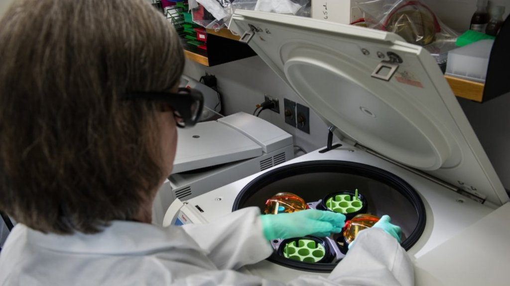 Novedoso examen podría detectar el cáncer antes que aparezcan los&nbsp;síntomas