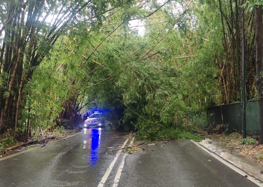 Alcalde Chacao ofreció balance tras la lluvia de este&nbsp;domingo