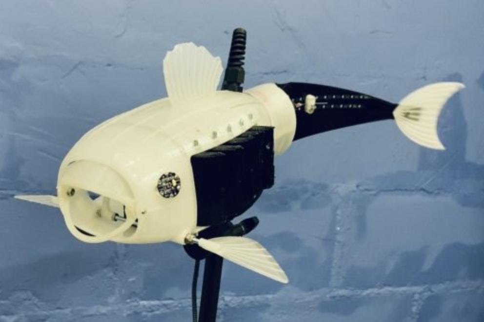Pez robot para reducir la contaminación del&nbsp;agua