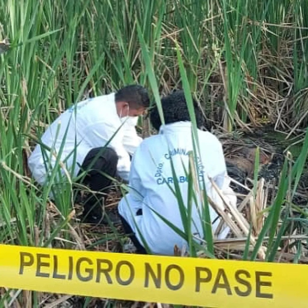 Hombre fingió ser amigo de su vecino para matarlo y quedarse con su&nbsp;vivienda