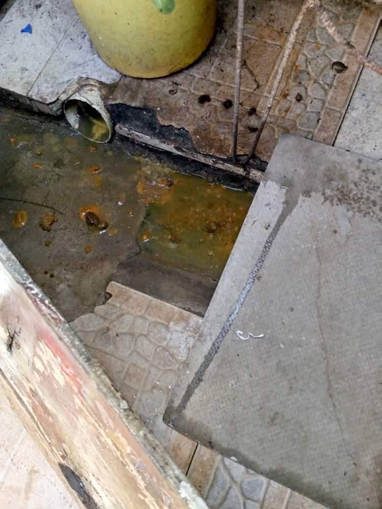 Varias casas en Santa Rosa Lechería están llenas de&nbsp;«pupú»