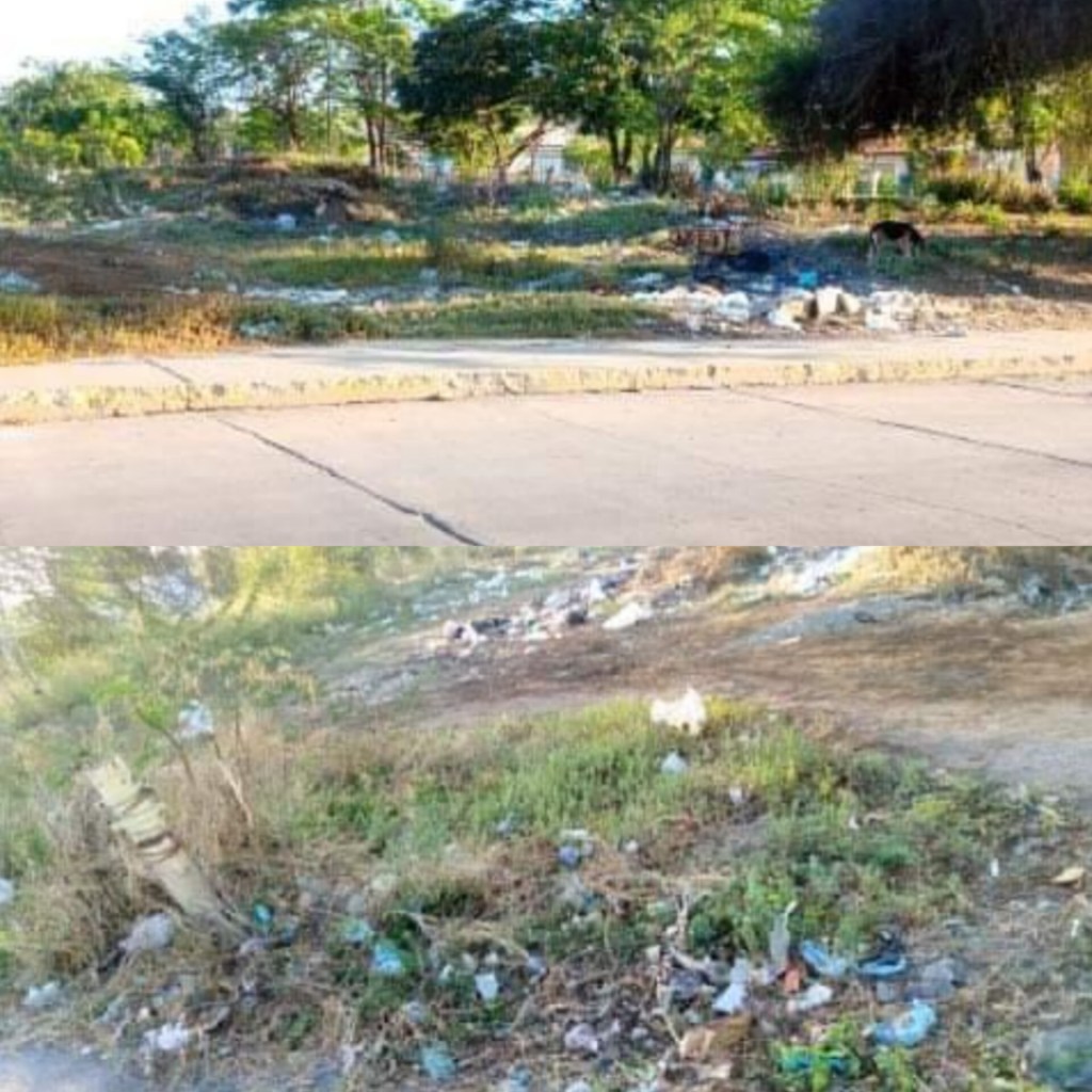 Piden limpieza para la entrada de Fundación Mendoza por la parada de&nbsp;autobús