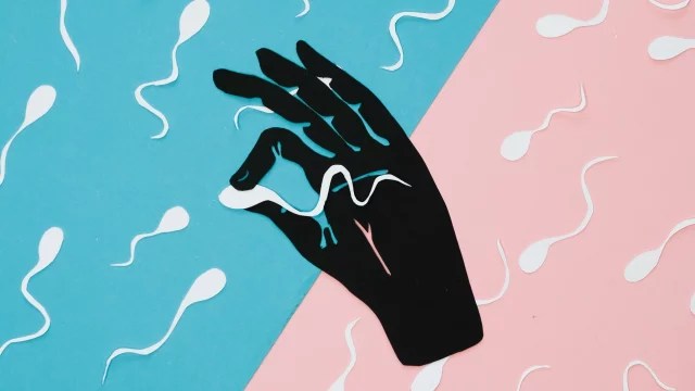 Primeros resultados exitosos: crean anticonceptivo masculino que inmoviliza&nbsp;espermatozoides