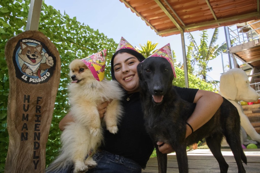 «El perrazo»: El restaurante para perros que se hace&nbsp;viral