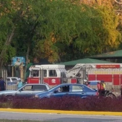 Un niño fallecido y 5 heridos dejó caída de árbol en zoologico de&nbsp;Maracay