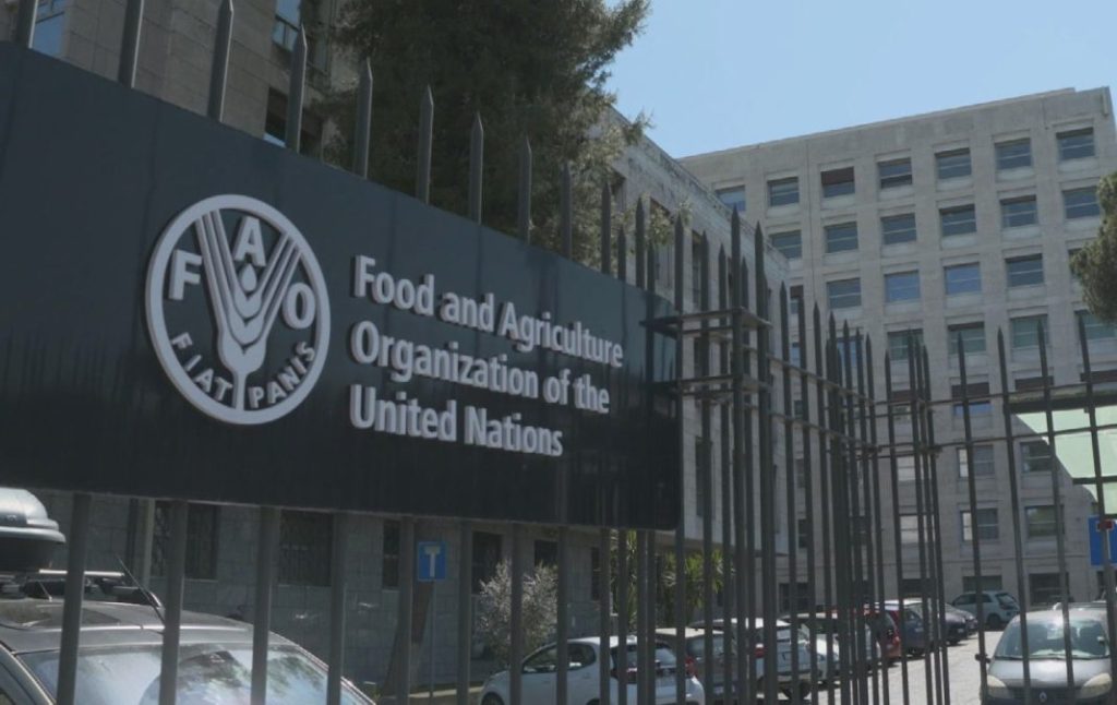 Programa Mundial de Alimentos aprueba plan para Venezuela por 573 millones de&nbsp;dólares