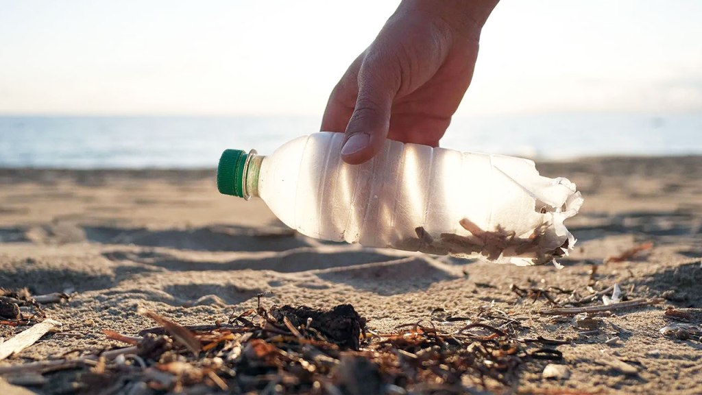 En competencia Eco Cangrejo 2023 recolectarán plástico por Día Mundial del&nbsp;Agua