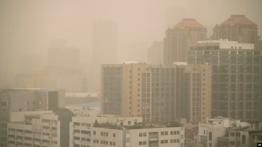 La ONU advierte sobre el problema de la&nbsp;contaminación