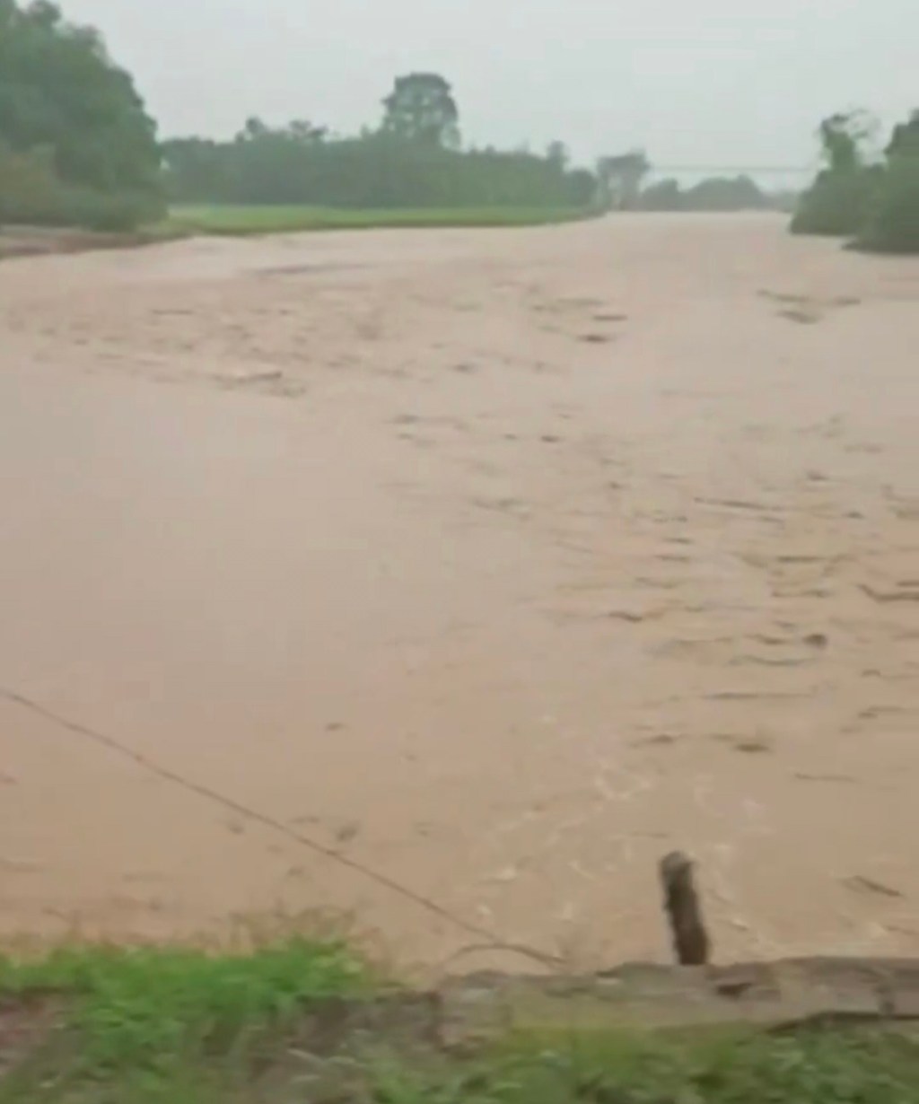 Así se encuentra el río La Arenosa en el municipio Panamericano del estado&nbsp;Táchira