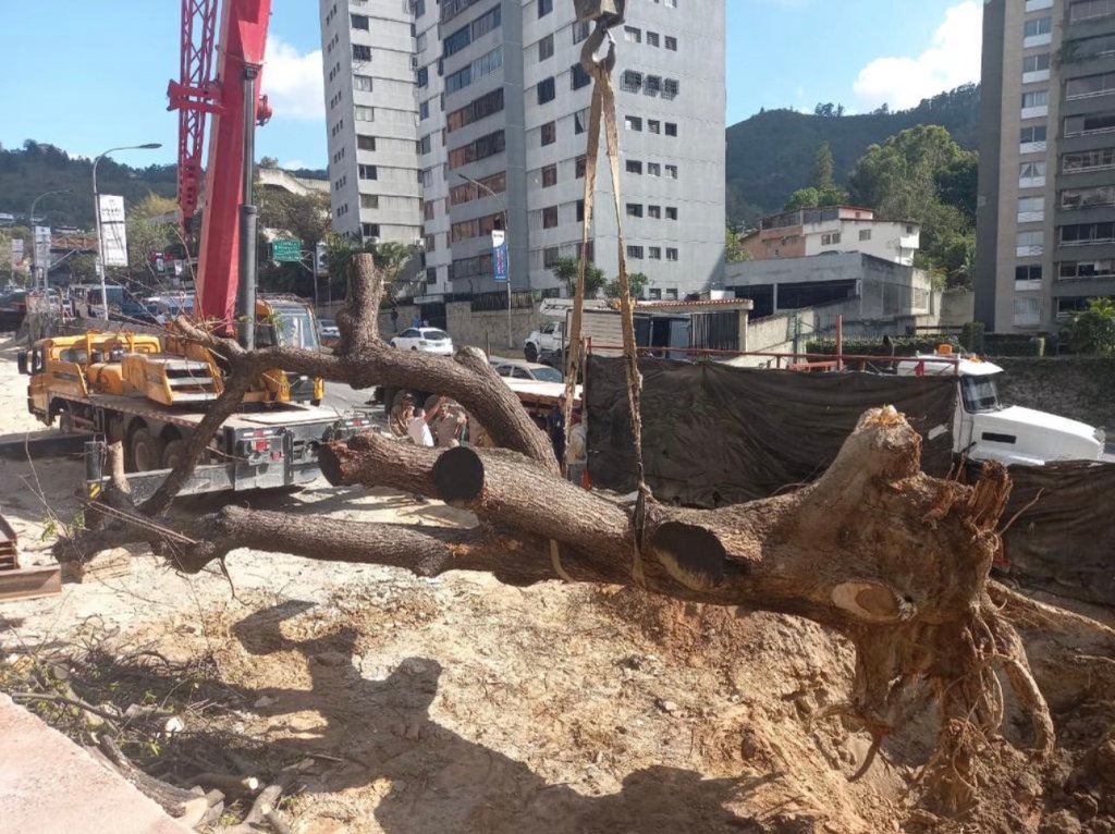 Denuncian ecocidio en El Hatillo para dar paso a un&nbsp;comercio