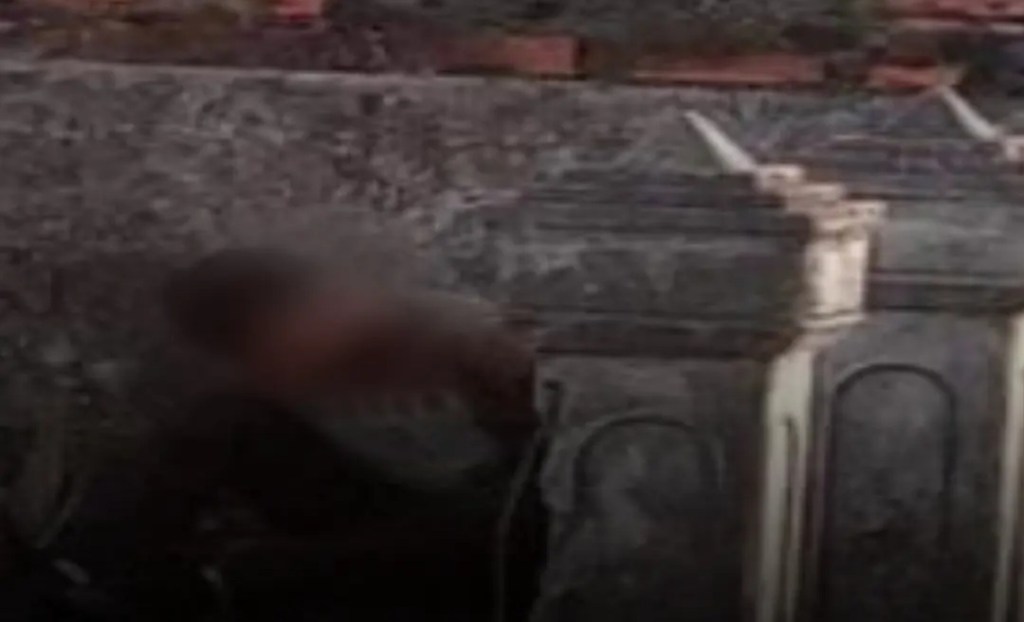 Detienen a sujeto acusado de  asesinar a su madre en&nbsp;Monagas