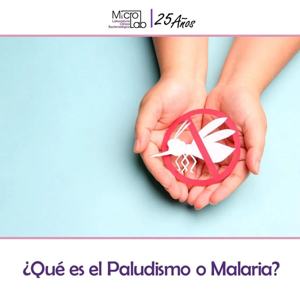 ¿Qué es el paludismo o&nbsp;malaria?