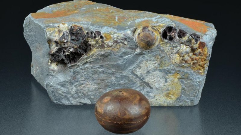 Qué son las esferas Klerksdorp, las misteriosas piedras que fueron encontradas en una roca de 2.800 millones de años de&nbsp;antigüedad