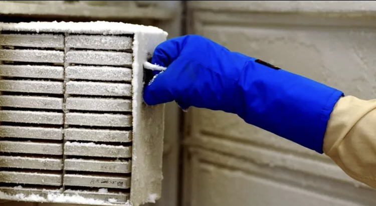 20 años de investigación arruinados por un empleado de limpieza que desconectó un&nbsp;refrigerador