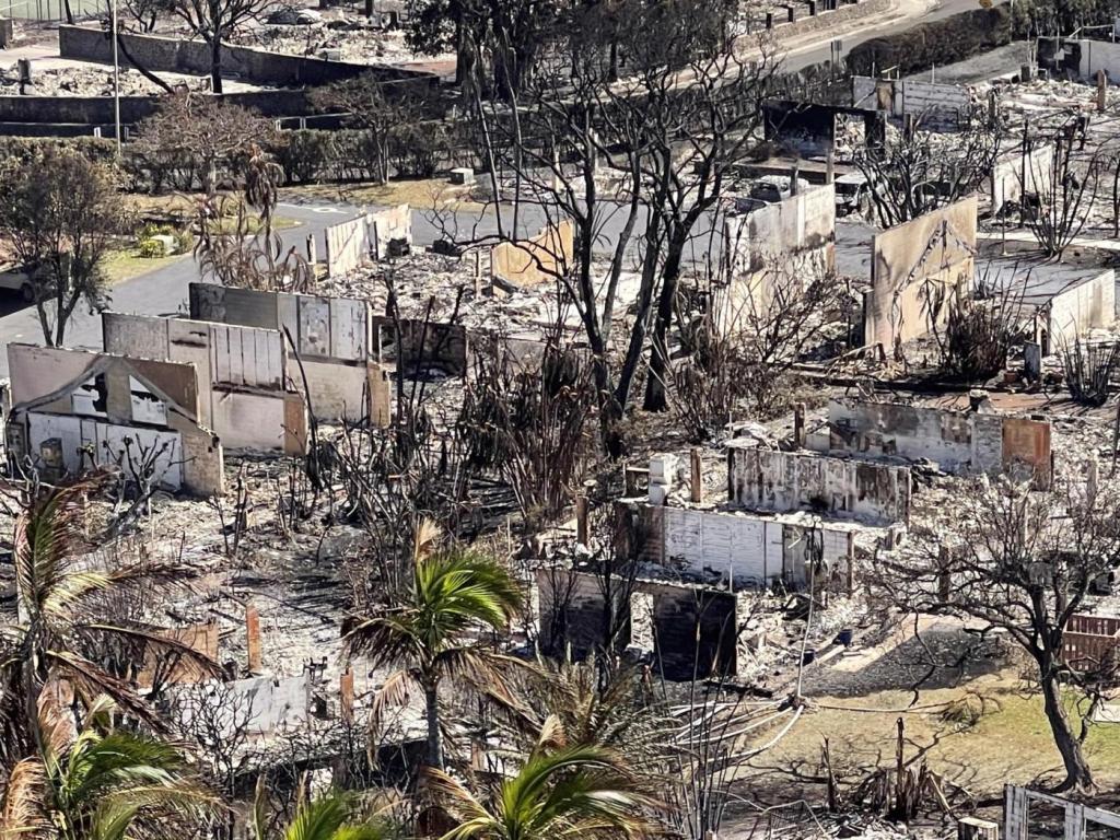 Incendios en Hawaii con 89 muertos son los más letales del último&nbsp;siglo