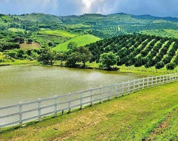 En Venezuela | Sector caprino proyecta elevar rebaño a 10 mil animales para&nbsp;2025