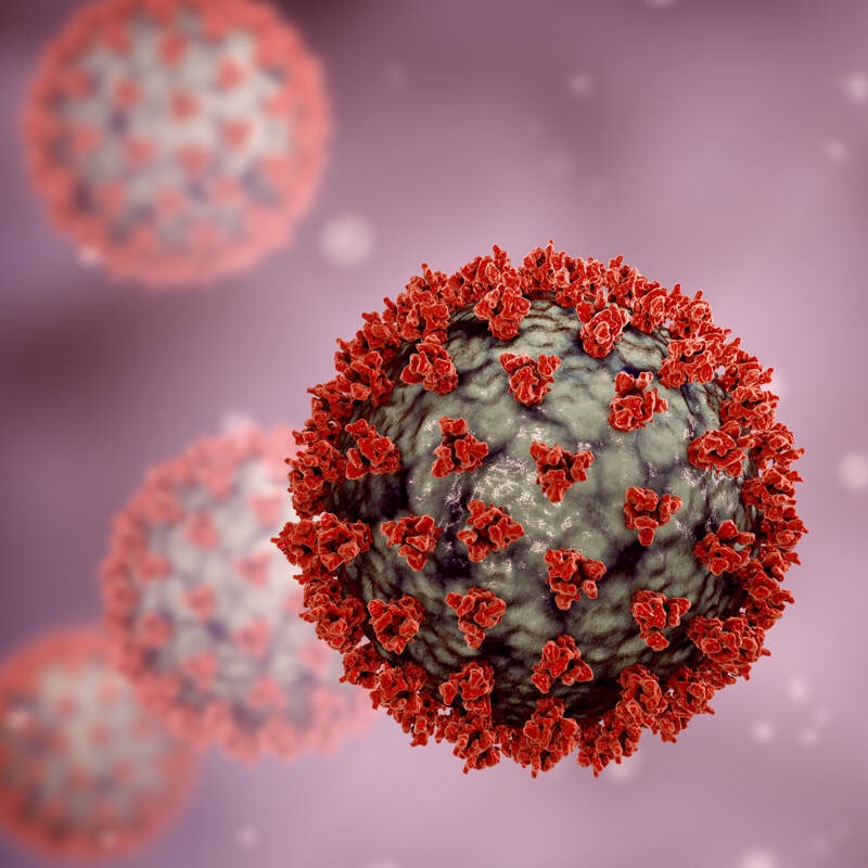 Eris y Pirola: Dos nuevas variantes del&nbsp;covid-19