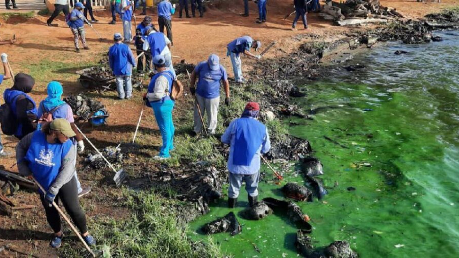 “Pesca tu plástico” El nuevo plan del gobierno para el Lago de&nbsp;Maracaibo