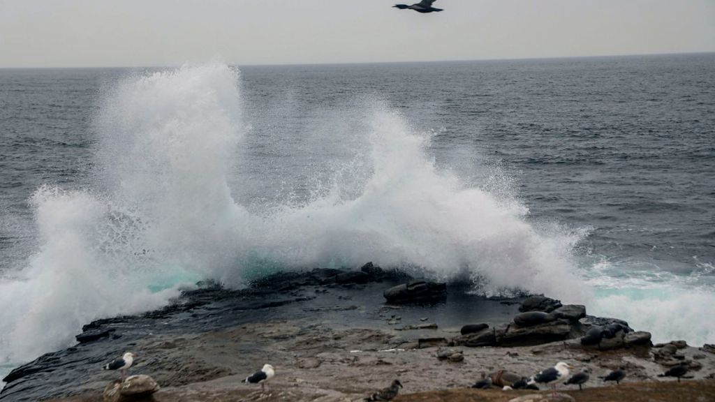 Se forman tres tormentas tropicales: Franklin ya está en el Mar&nbsp;Caribe