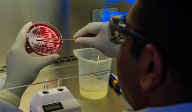 OMS alerta de un resurgimiento de los casos globales de&nbsp;cólera