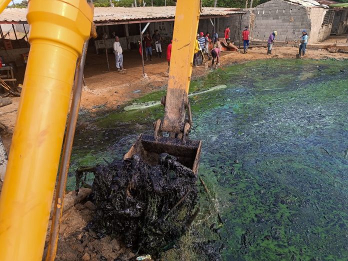 Más de 28 mil toneladas de desechos sólidos han sido extraídos del Lago ...