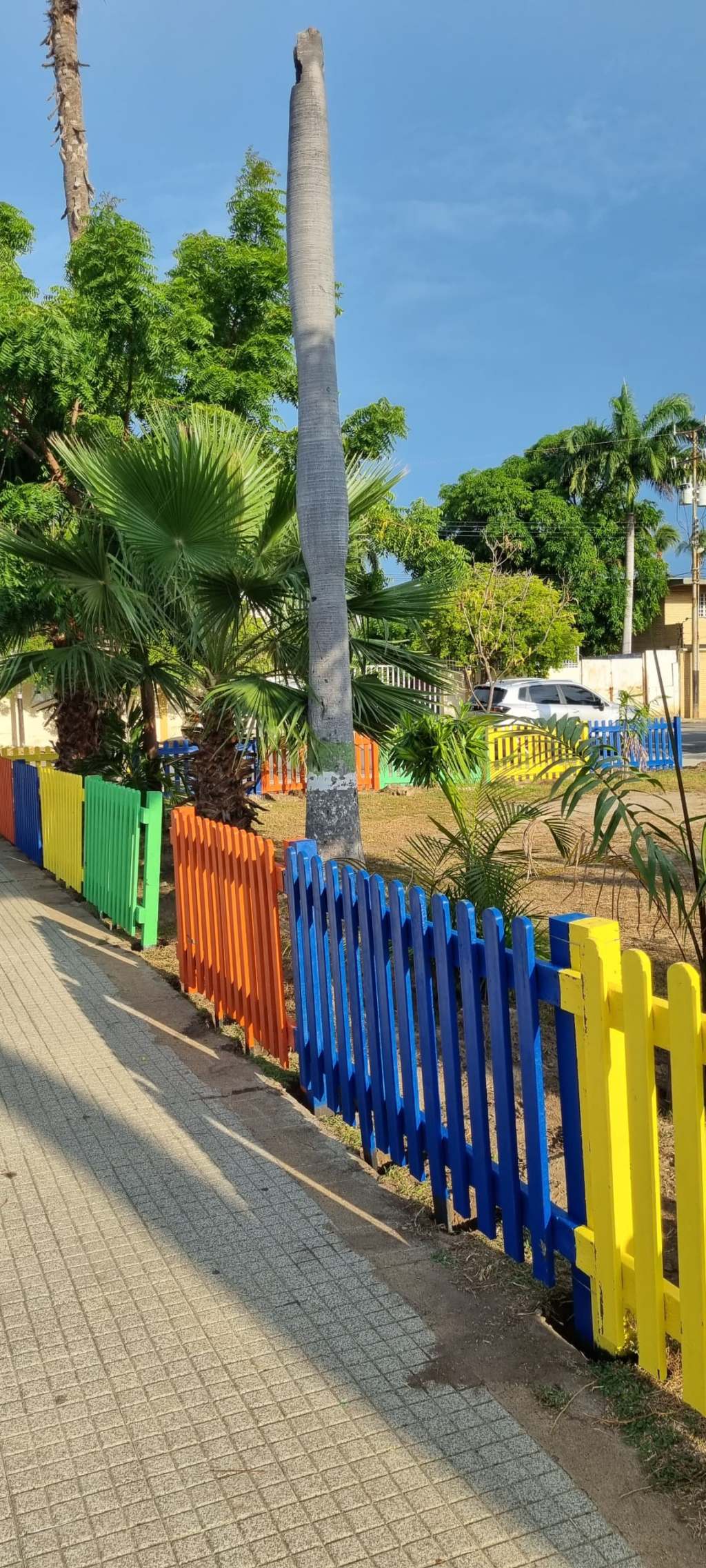 En Lechería van a instalar un parque para&nbsp;mascotas