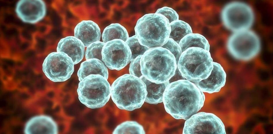 Enfermedades de transmisión sexual baten récord en&nbsp;España