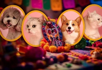 Día de Muertos: Conoce fecha indicada para honrar a sus&nbsp;mascotas