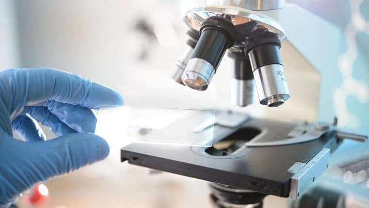 Desarrollan un material sintético que simula las células&nbsp;humanas