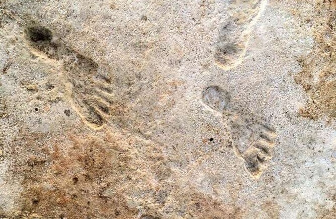 Estudio confirma que seres humanos vivían en América hace 20 mil&nbsp;años