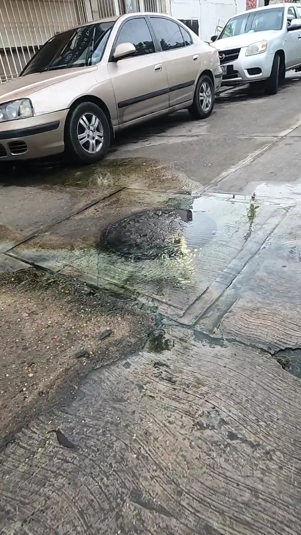 Denuncian colapso de aguas servidas en&nbsp;Barcelona