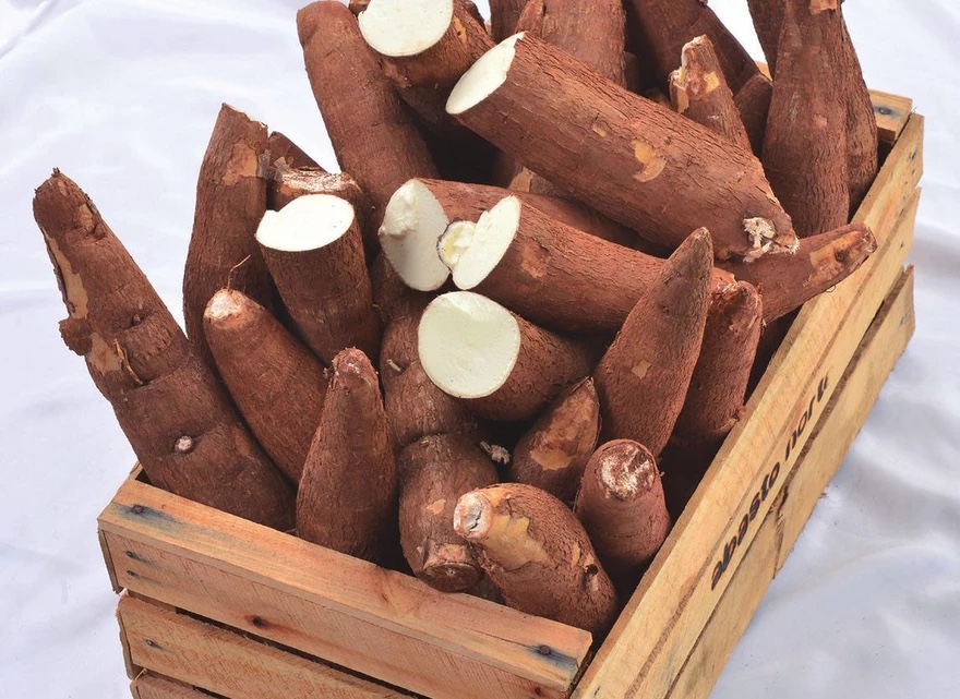 La yuca: El Alimento que ayuda a prevenir la&nbsp;diabetes