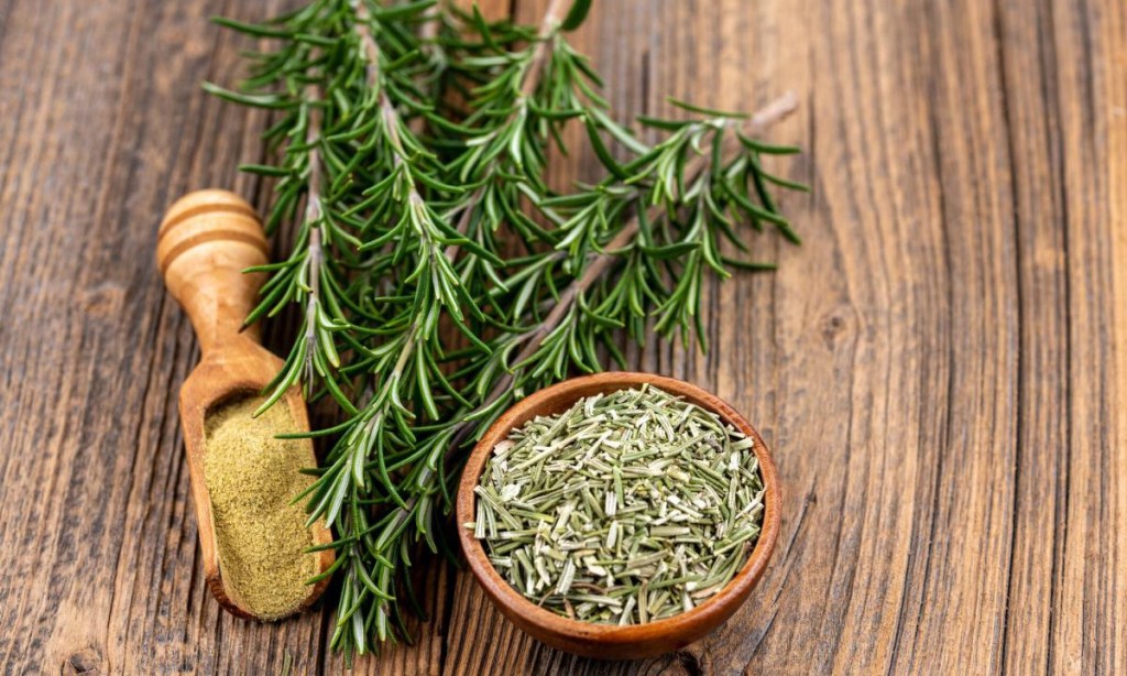 Romero: Esta hierba podría mejorar la memoria y aliviar el&nbsp;estrés