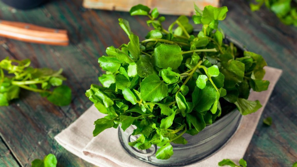 Berro: El alimento más&nbsp;saludable