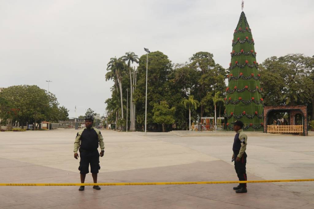 Restringido temporalmente paso peatonal por la plaza Libertadores de Barcelona debido a enjambre de&nbsp;abejas