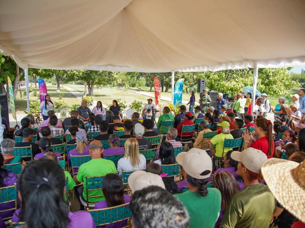 Declarado el apamate como árbol emblemático del municipio Simón Bolívar en&nbsp;Anzoátegui