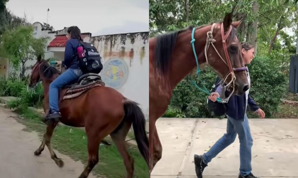 Quinceañera prefirió un caballo en lugar de una fiesta de&nbsp;cumpleaños