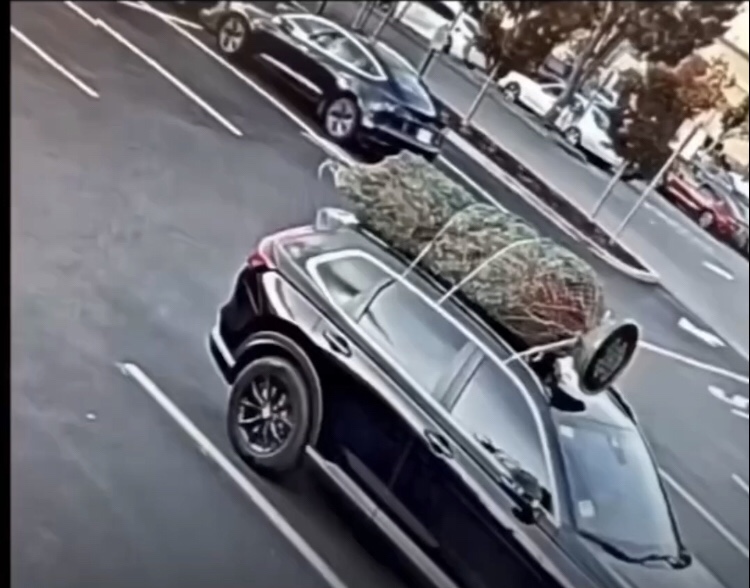 Se roban un árbol de navidad mientras la familia hacía recados&nbsp;[Vídeo]