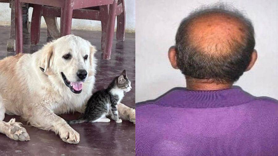 Imponen régimen de presentación a adulto mayor que envenenaba mascotas en&nbsp;Lara