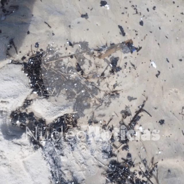 Partículas de petróleo llegaron a playas de&nbsp;Choroní